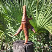 Turkey Feet (pack of 6)