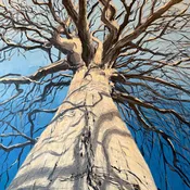 Acrylic Painting | Drennan | Wed Afternoon