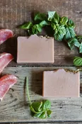 Grapefruit & Basil Soap — In The Meadow