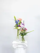 The Mini's — Flowers, Etcetera by Denise