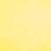 0570 Banana Half Yard