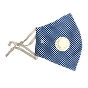 DistanZ EcoTec Health Mask - Nautical Gingham MASK2020D