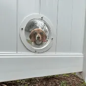 Dog Friendly Fence