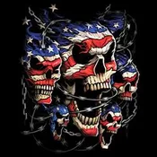11248D0-PATRIOTIC SKULLS
