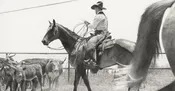 Aces Over Clubs (Waggoner Ranch)