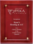 10 1/2" x 13" Floating Glass Plaque