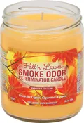 Smoke Odor Exterminator Fall'n Leaves Candle
