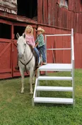 FORTRESS® OSHA Stair System
