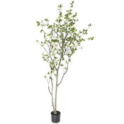 Black Olive Tree 82.5″
