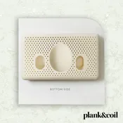 Coyuchi Serenity Rubber Pillow