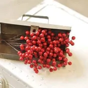 boxed berries waterproof