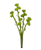 11" Sedum Spray