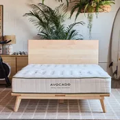 Avocado Green Extra Firm Mattress
