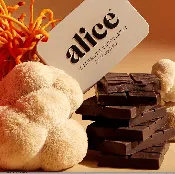 Alice Mushroom Chocolate | Brainstorm for Focus &amp;amp; Energy