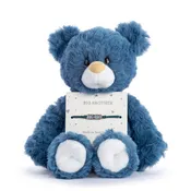 Big Brother | Bear & Bracelet Set