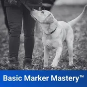Basic Marker Mastery™