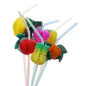 Assorted Fruit Straw