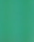 1 Yard (Aqua) 200 Denier Uncoated Nylon Flag Fabric 62" Wide