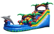 15ft Dolphin Tropical Inflatable Water Slide with Splash Pool