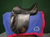 Michael Stokes  Centaur dressage — Middleburg Tack Exchange