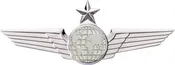 2136S Star Wing with Generic Emblem