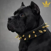 1.5" Wide Spiked Leather Dog Collar (V17)