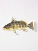 Abachar Spotty Sticker