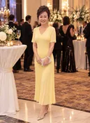 Belle Pleated Dress