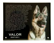 Beveled Glass Plaque