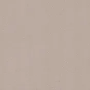 Ash Gray
