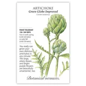 Artichoke 'Green Globe'