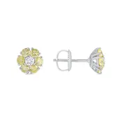 1.05 CT. T.W. Fancy Yellow Diamond Round Cluster Stud Earrings