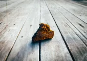 Chaga Chunks for Tea
