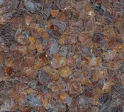 Beach Glass - Brown