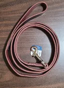 The Six-Foot Leather Leash