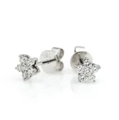 Clustered Fashion Earrings