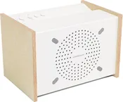 a.bsolument PRODIGE Wireless Bluetooth Speaker