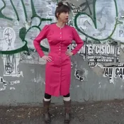 Button Up Fuchsia Dress — Antoinette Brooklyn