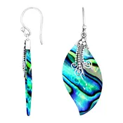 Beautiful Abalone Swirl Earrings