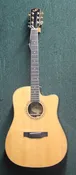 Bedell TBCE-28-G