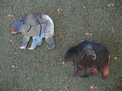 Bear – All 4’s
