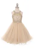 Champagne Flower Girl Dress,Girl Dress, Champagne Dress, Champagne Dress, Flower Girl, Wedding Flower Girl Dress, Champagne Dress