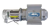 15C175ICEX Roots Gas Meter