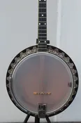 1928 Vega Professional tenor banjo