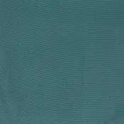 Atlantic Teal