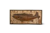 Taxidermy Fish On Birch Bark
