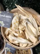 Lamb Ear
