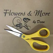 DEAL OF THE DAY!