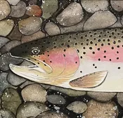 "Rainbow on the Rocks" - giclee watercolor print by Mike Pepper — Saddletree Gallery & Framing
