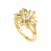 Air Ring